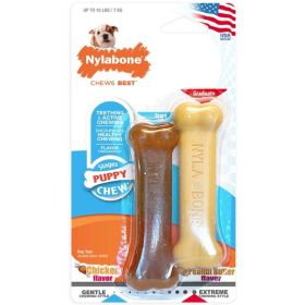 Nylabone Puppy Chew Petite Twin Pack