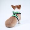 dog harness set; with leas frog leash pet mesh breathable small dog chest back retractable dog leash pet harness